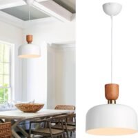 modern pendant light fixture,